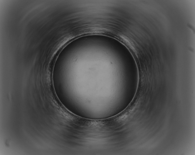 X0000093380835200710191133