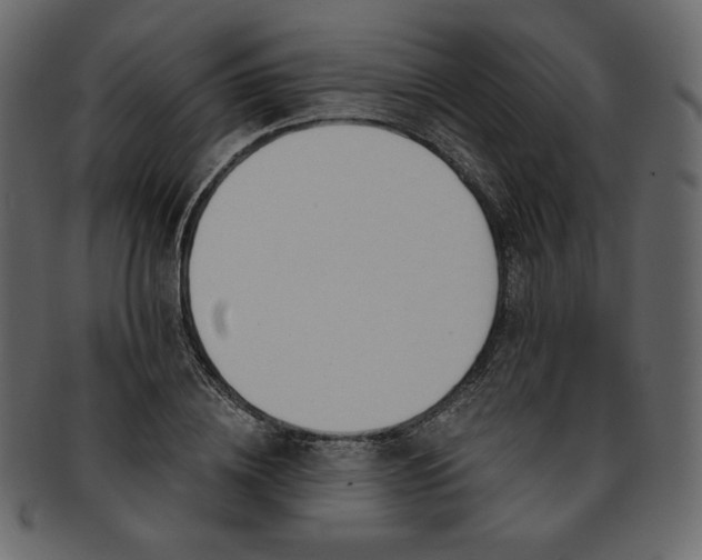 X0000093380836200710191133