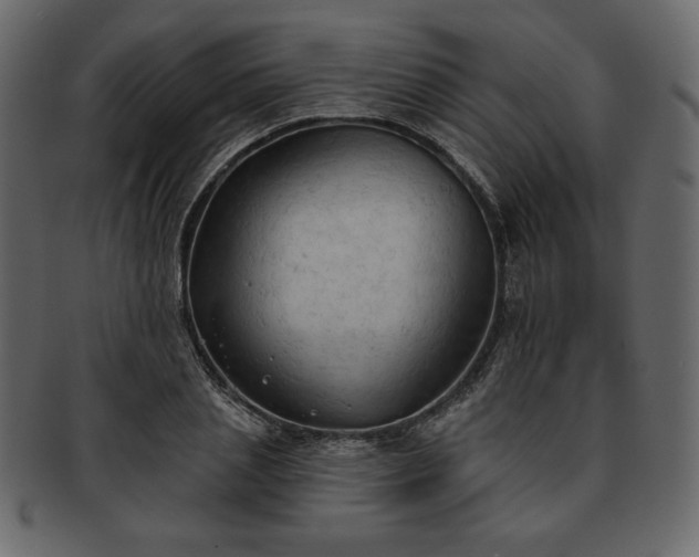 X0000093380837200710191133