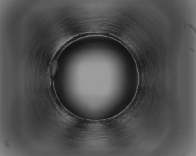 X0000093380838200710191133