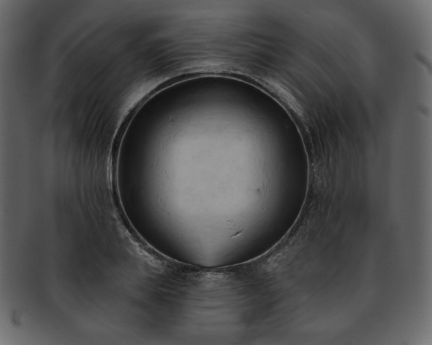 X0000093380839200710191133