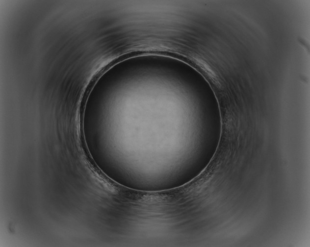 X0000093380840200710191133