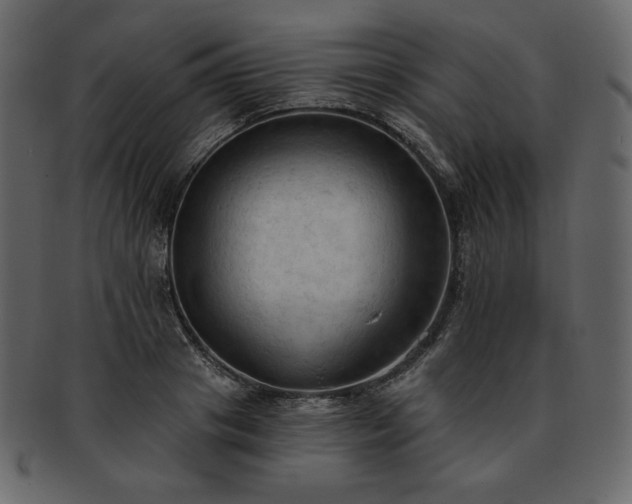 X0000093380841200710191133