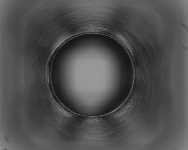 X0000093380843200710191133