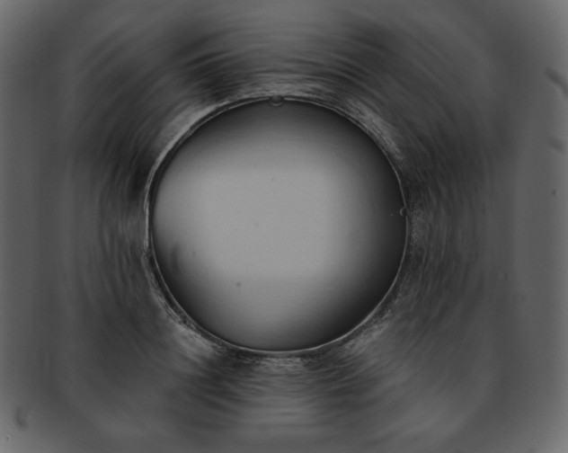 X0000093380844200710191133