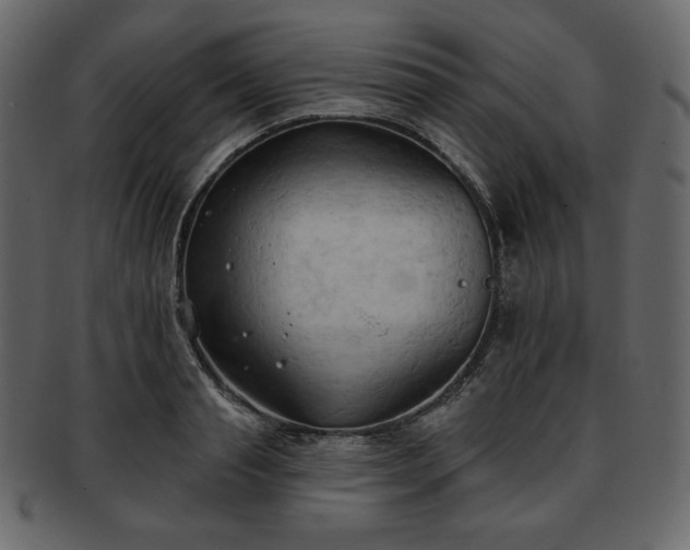 X0000093380845200710191133