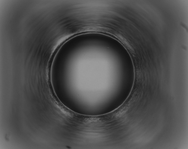 X0000093380846200710191133