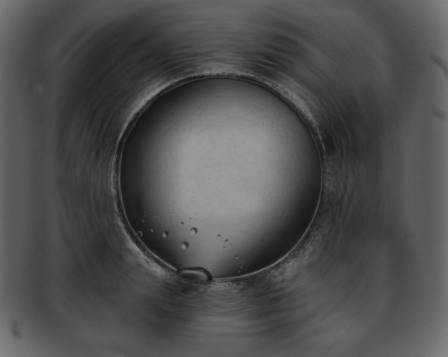 X0000093380847200710191133