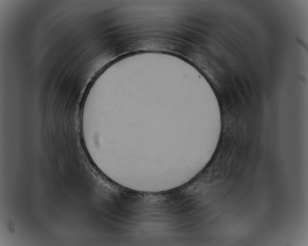 X0000093380848200710191133