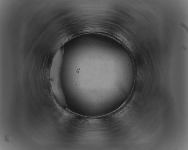 X0000093380849200710191133