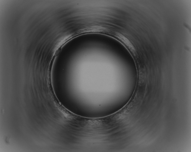 X0000093380850200710191133