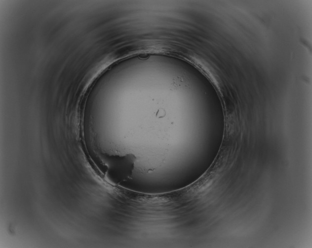 X0000093380851200710191133