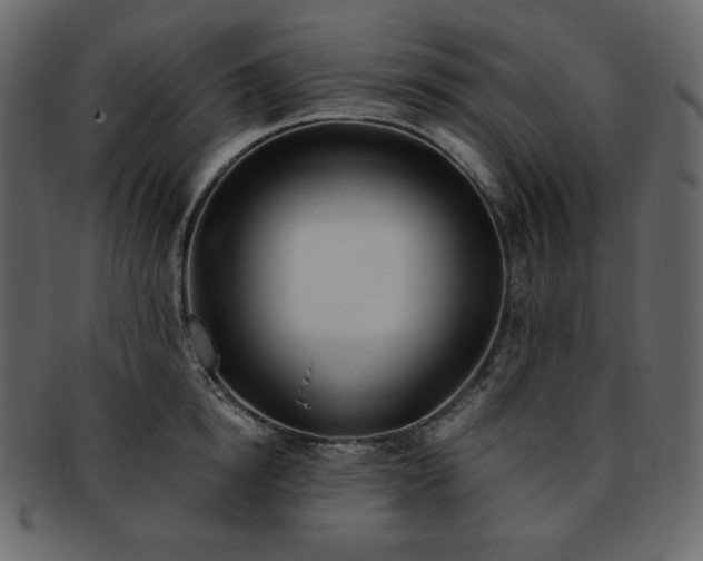 X0000093380854200710191133