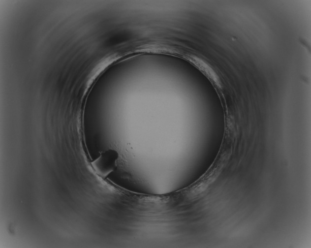 X0000093380855200710191133