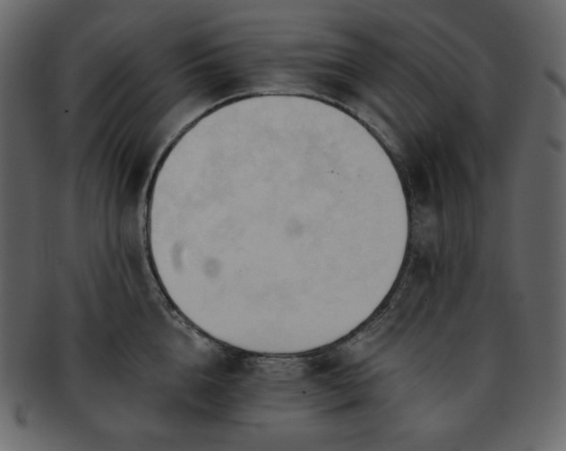 X0000093380856200710191133