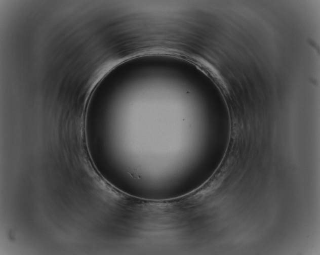 X0000093380860200710191133