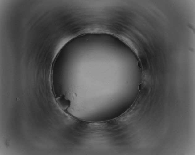 X0000093380863200710191133