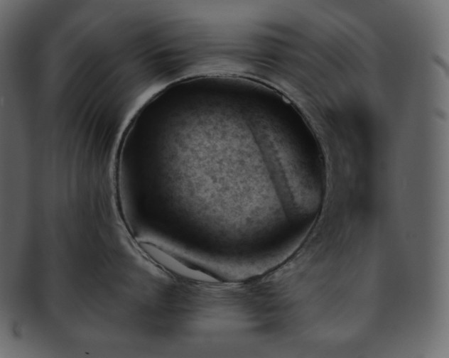 X0000093380864200710191133