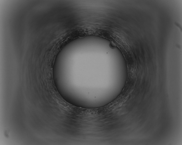 X0000093380865200710191133