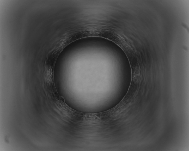 X0000093380866200710191133