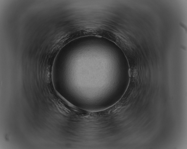 X0000093380868200710191133