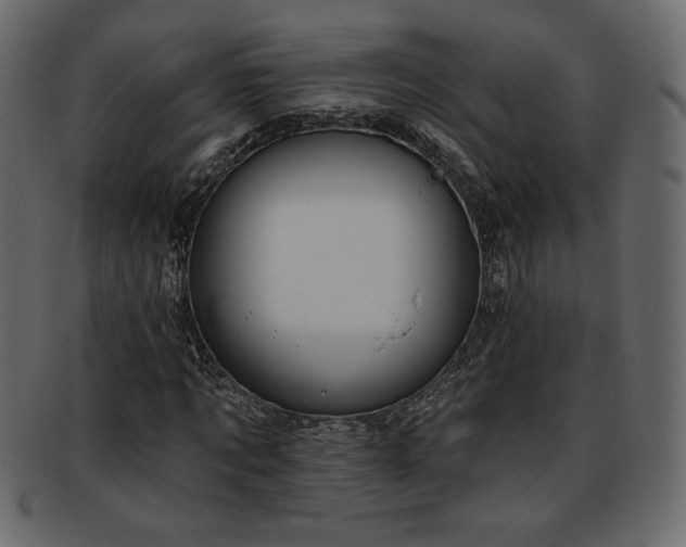 X0000093380869200710191133