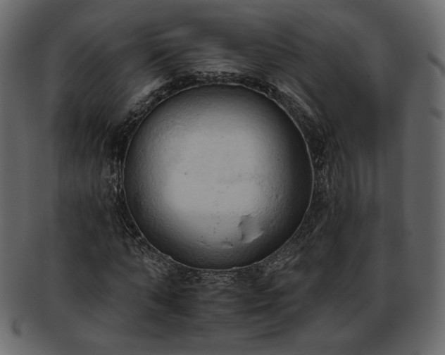 X0000093380870200710191133