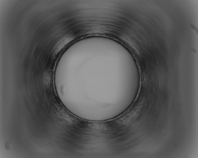 X0000093380874200710191133