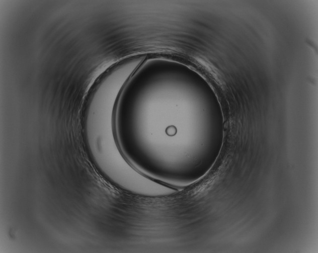 X0000093380875200710191133