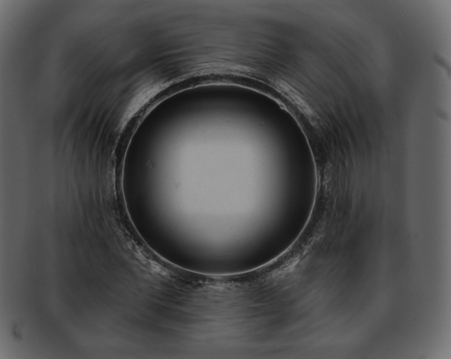 X0000093380877200710191133