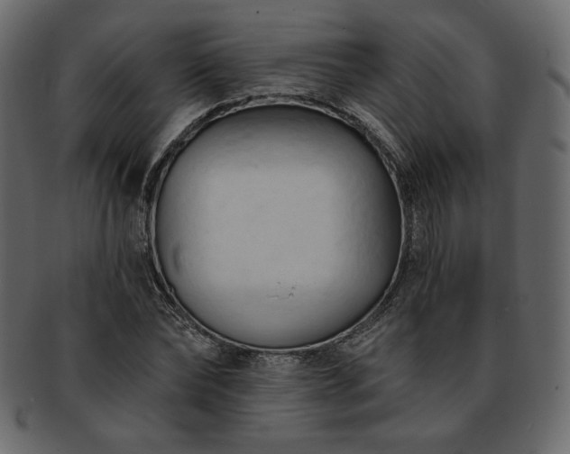 X0000093380878200710191133