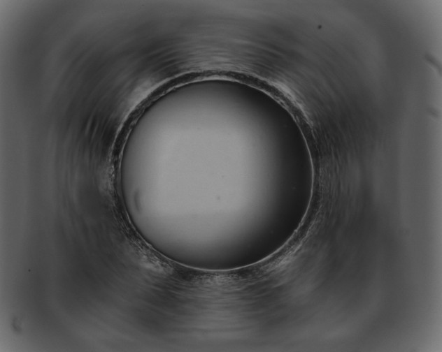 X0000093380879200710191133