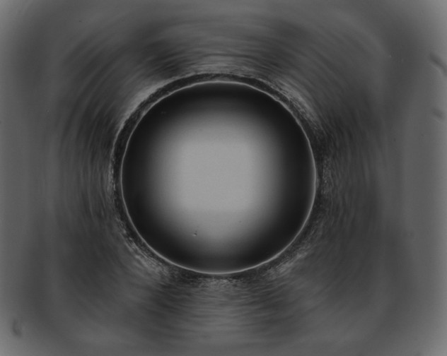 X0000093380880200710191133