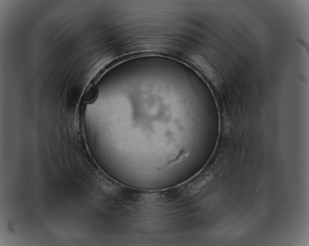 X0000093380883200710191133