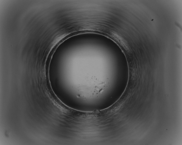 X0000093380884200710191133