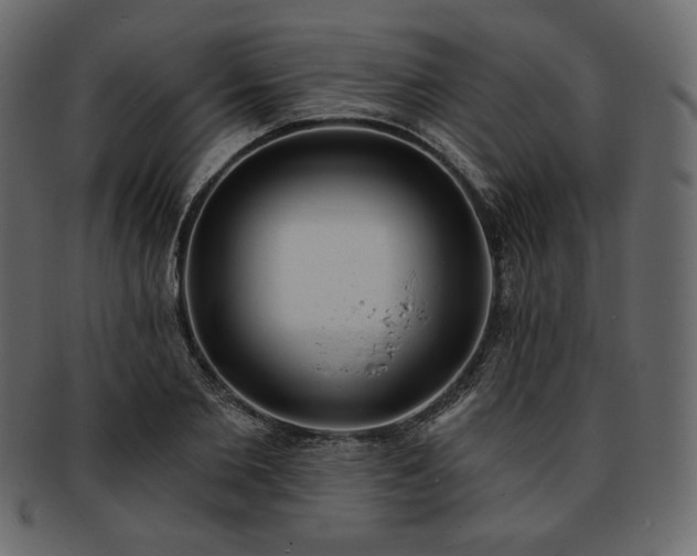 X0000093380885200710191133