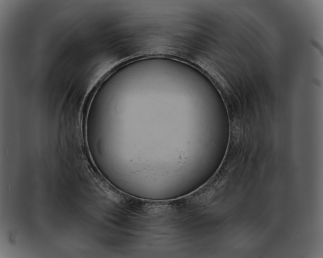 X0000093380886200710191133