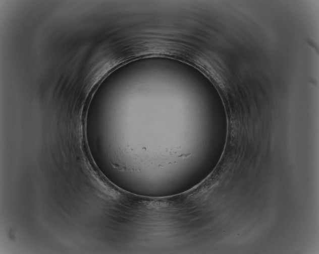 X0000093380890200710191132