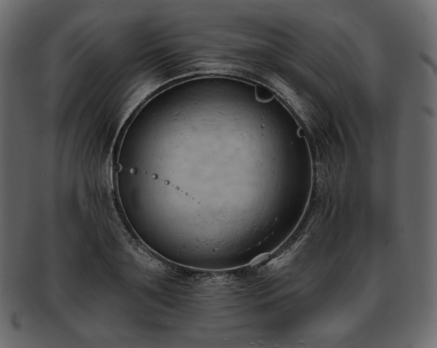 X0000093380891200710191132