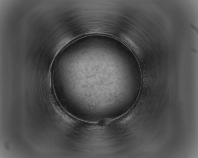 X0000093380892200710191132