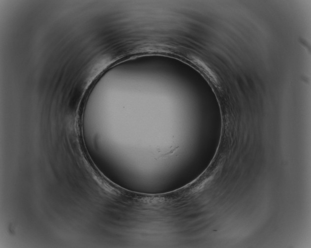 X0000093380893200710191132