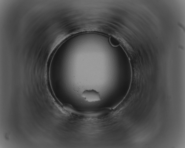 X0000093380894200710191132