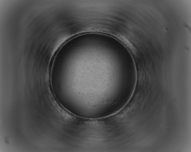 X0000093380896200710191132