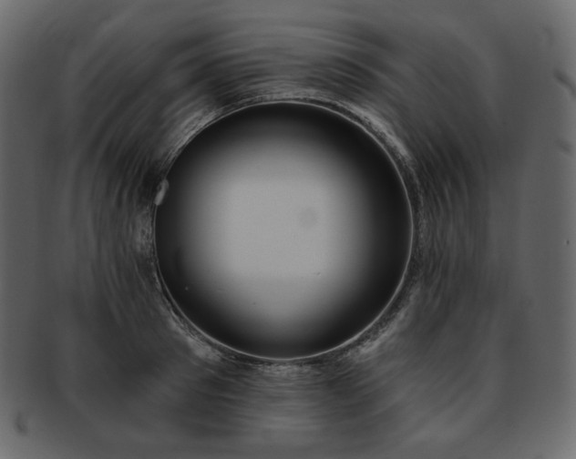 X0000093380897200710191132