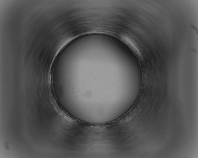 X0000093380900200710191132