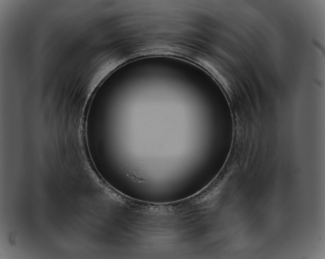 X0000093380901200710191132