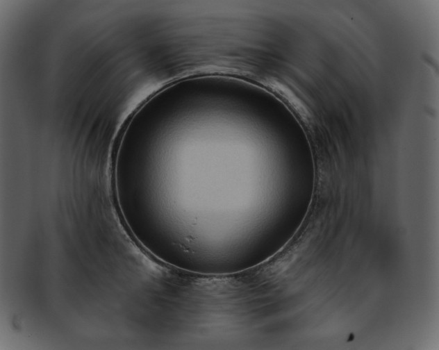 X0000093380902200710191132