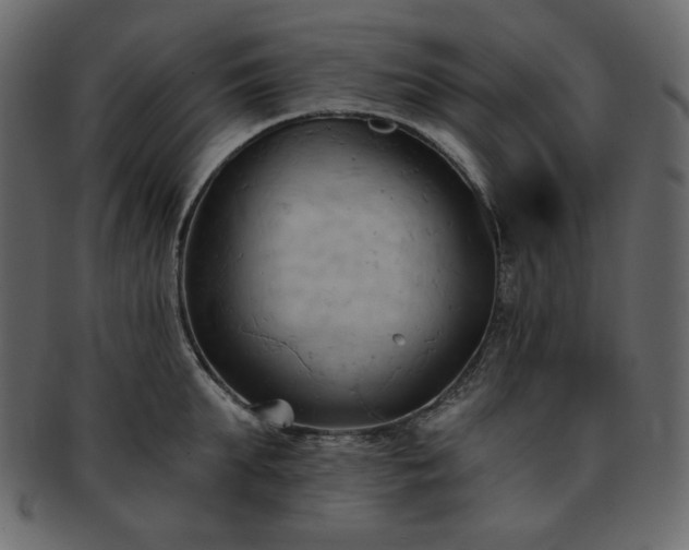 X0000093380903200710191132