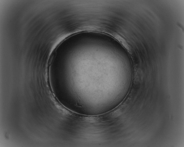 X0000093380904200710191132