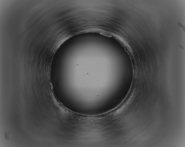 X0000093380905200710191132